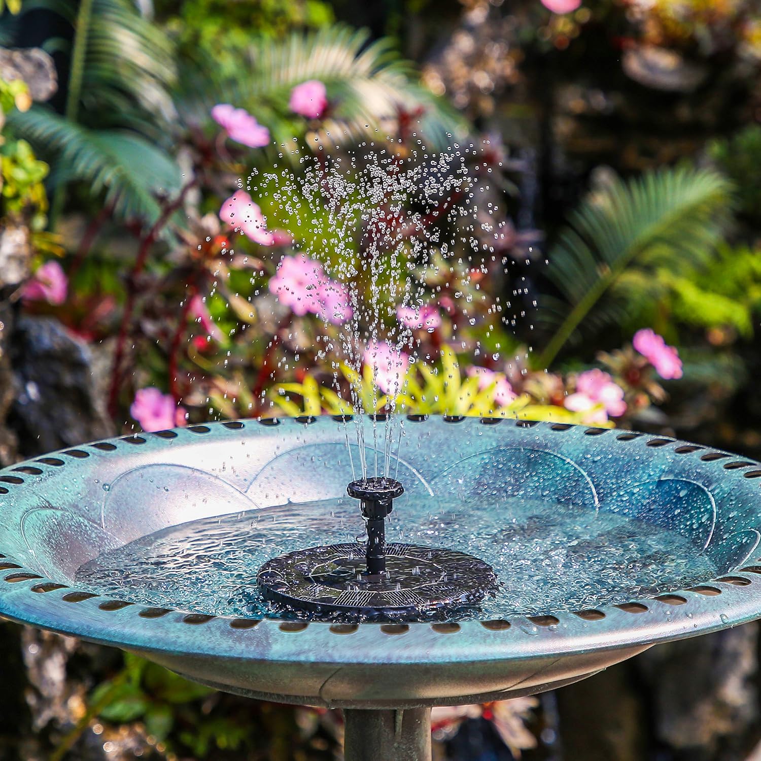 fontaine pour bassin extérieur
pompe fontaine solaire
pompe de bassin solaire
fontaine solaire
pompe pour bassin solaire
bassin pompe solaire
pompe solaire pour bassin
pompe à bassin solaire
fontaine solaire extérieur
pompe solaire pour bassin
pompe solaire bassin
pompe bassin solaire
pompe pour bassin solaire
fontaine solaire pour bassin
fontaine solaire bassin
fontaine bassin solaire
pompe à bassin solaire
pompes solaires pour bassin
fontaine pour bassin solaire
bassin fontaine solaire
bassin pompe solair
